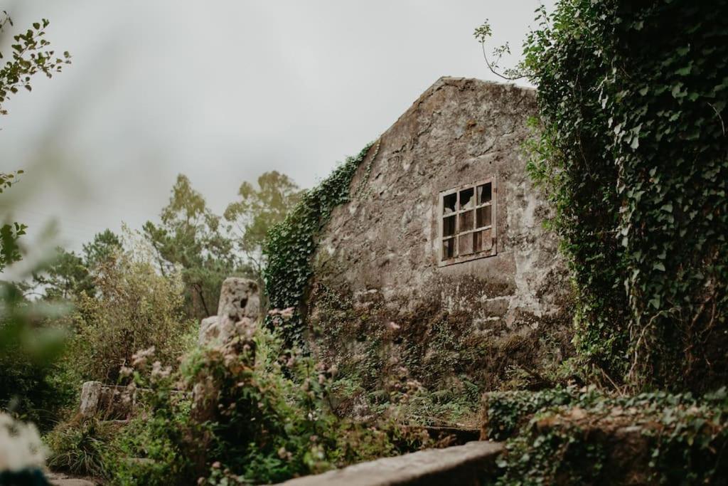 Antas Villa Family Esposende Eksteriør billede